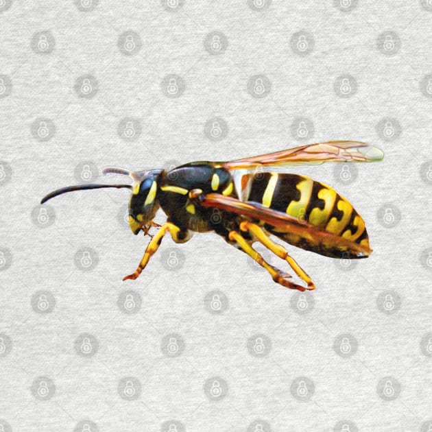 Wasp or Yellow Jacket by dalyndigaital2@gmail.com